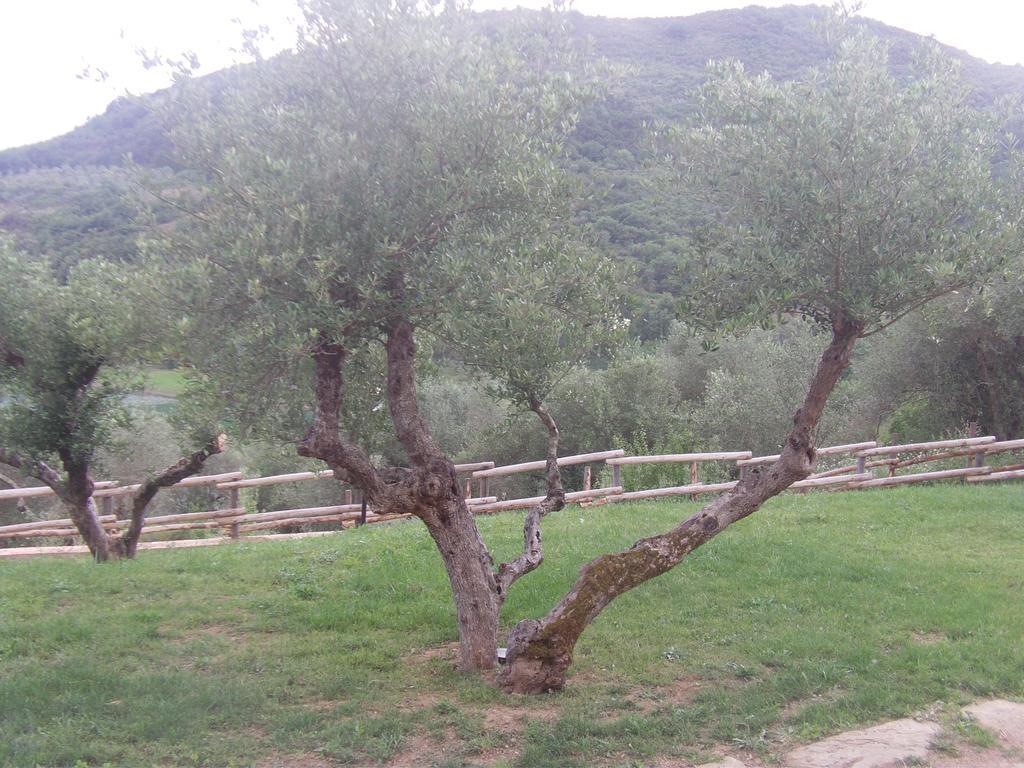 Spinaruccoli Bauernhof
