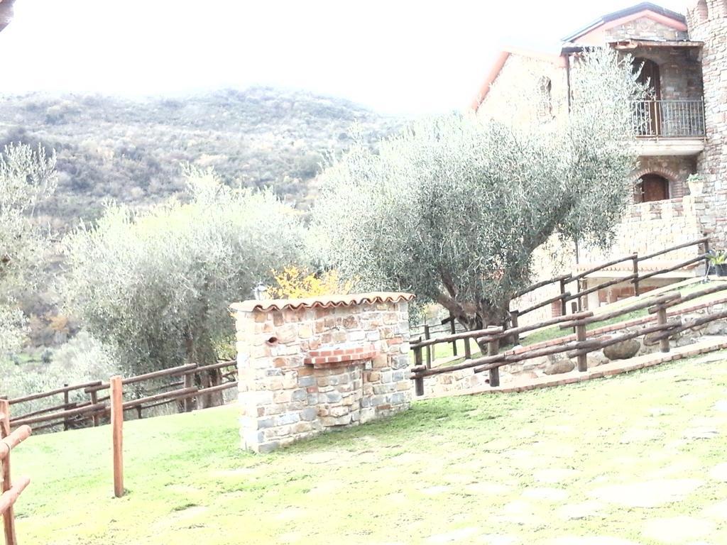 Bauernhof Spinaruccoli *