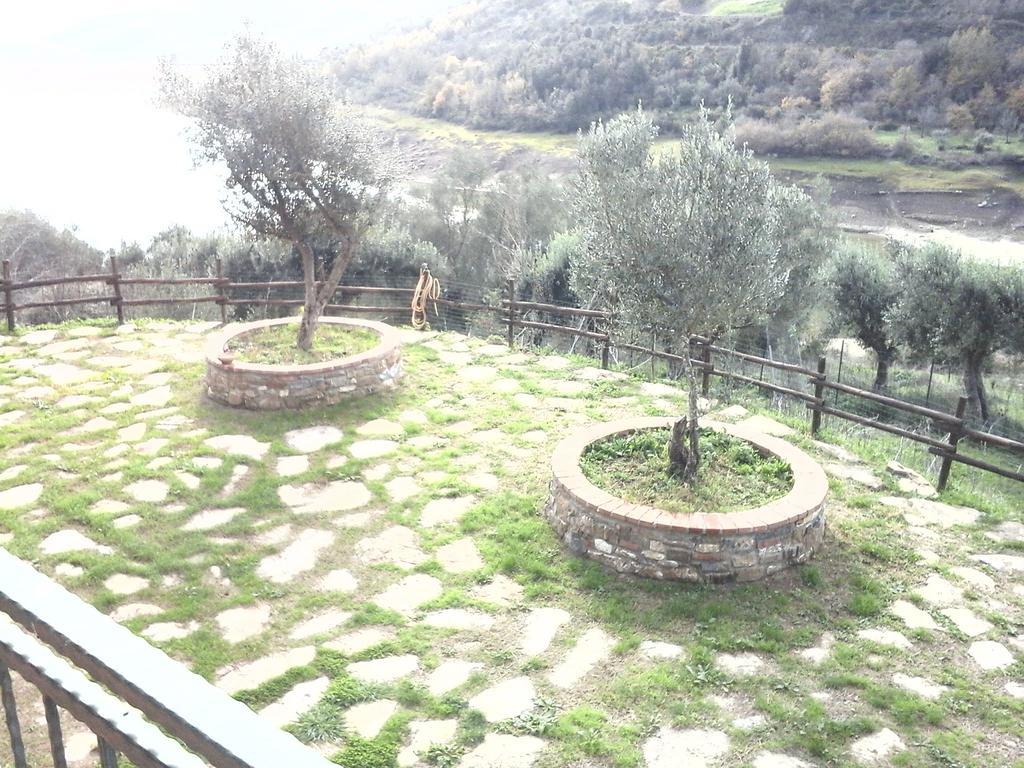 Spinaruccoli *