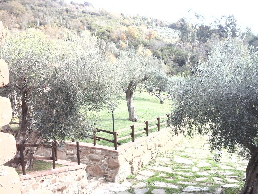 Bauernhof Spinaruccoli Cicerale